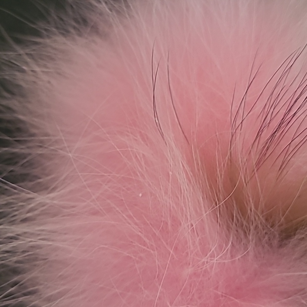 Fox Fur Slides Size 12 - image 4